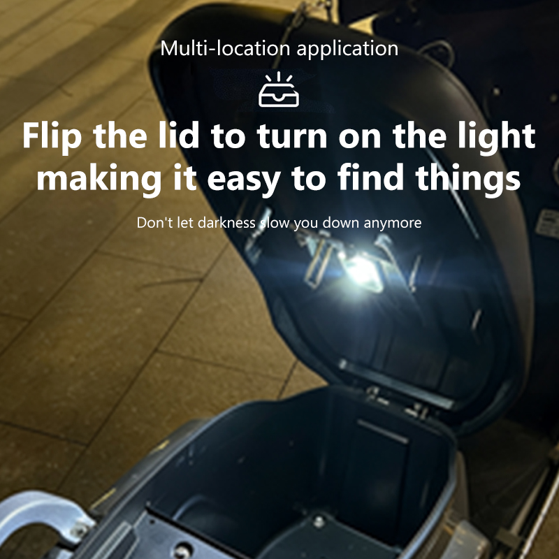 BLALION Motorcycle Locomotive  - Smart Led Garden 评论和价格