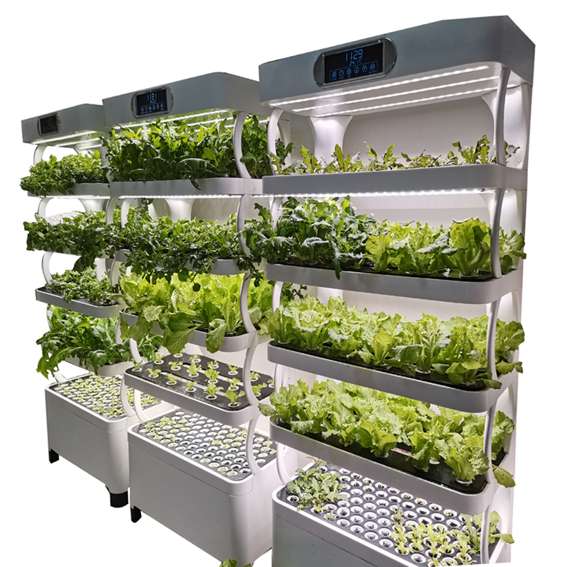 Indoor Smart Low Cost Hydropon - Smart Garden Indoor 评论和价格