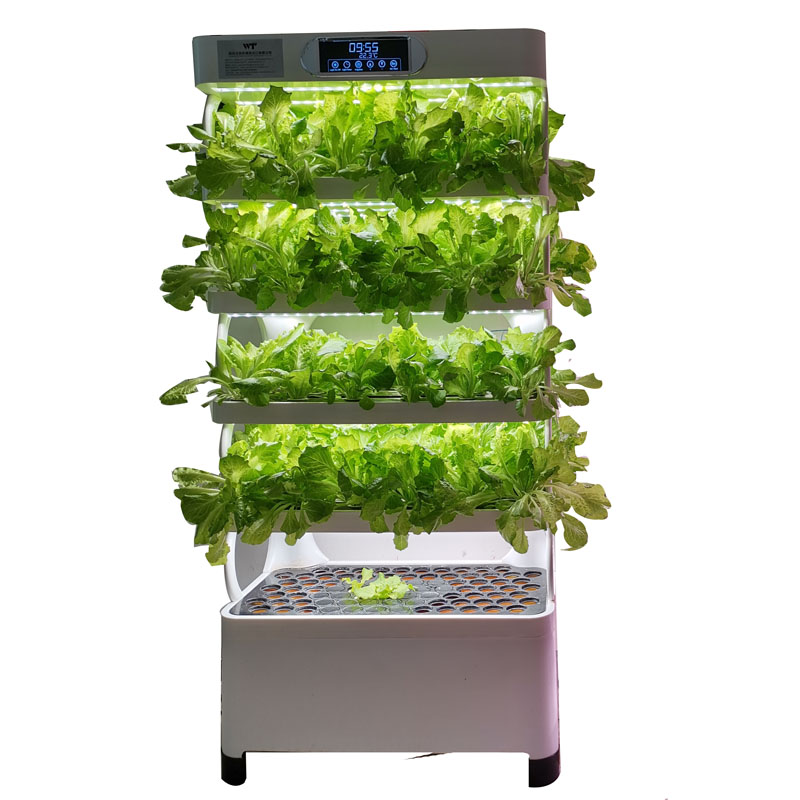 Indoor Smart Low Cost Hydropon - Smart Garden Indoor 评论和价格