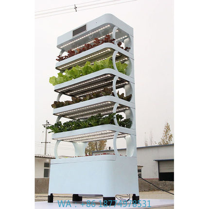 arming Home Hydroponic Growing - Smart Garden Indoor 评论和价格