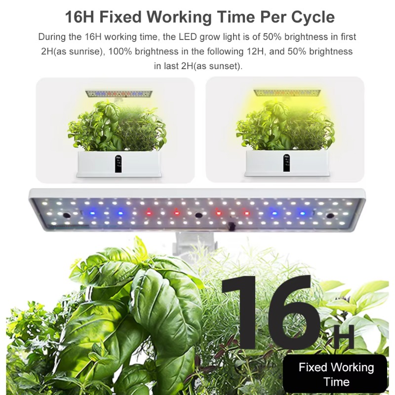 9 Pods Smart Hydroponics Growi - Smart Garden Indoor 评论和价格