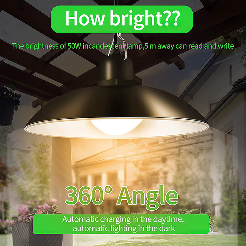 Solar Pendant Light Outdoor In - Smart Garden Sheds 评论和价格