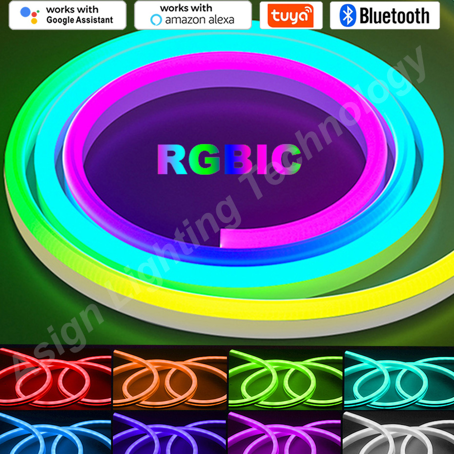 RGBIC LED Neon Strip 12V 96LED - Smart Led Garden 评论和价格
