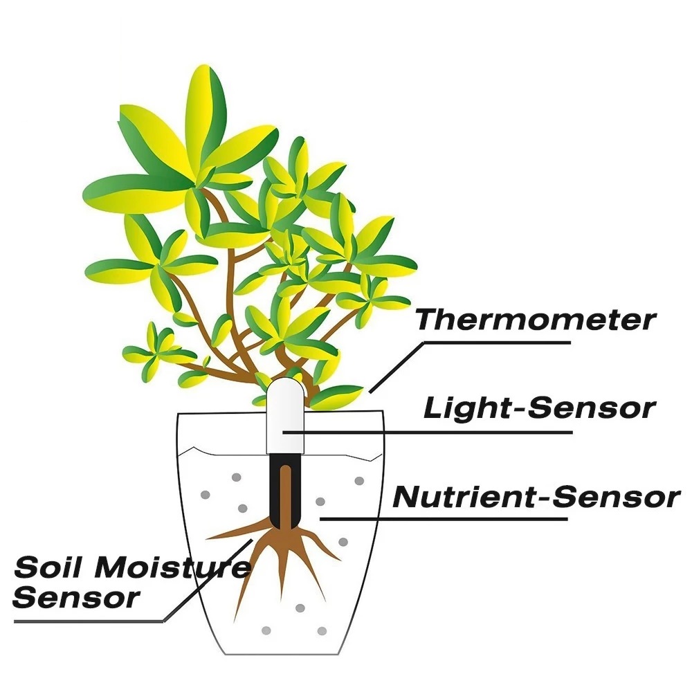 HHCC Flower Monitor Flora Gard - Smart Garden Water 评论和价格