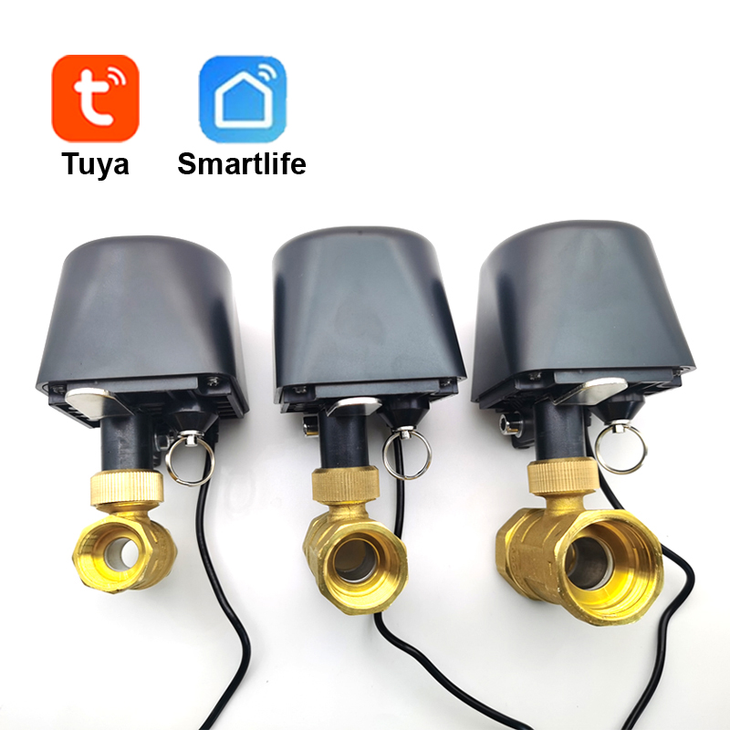 Tuya WiFi or Zigbee Water Valv - Smart Garden Water 评论和价格